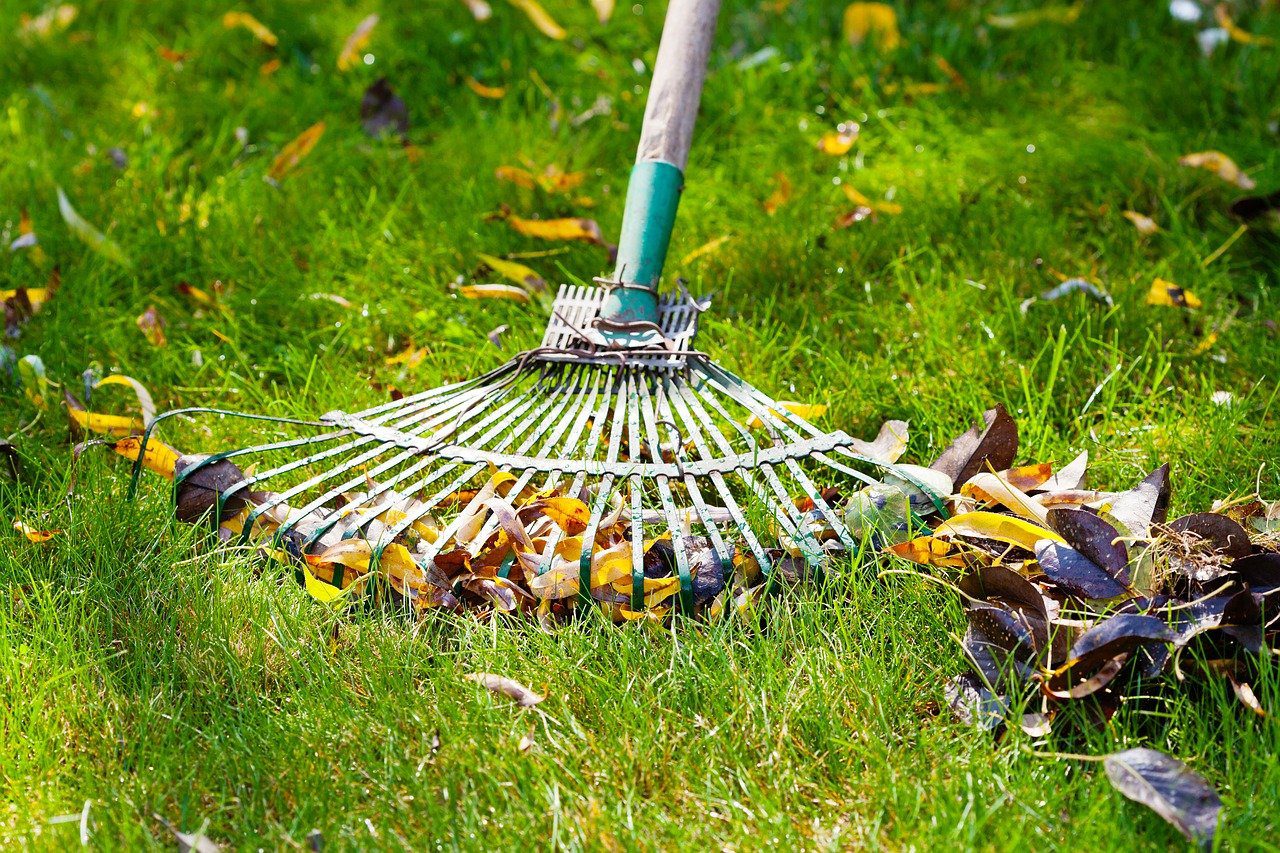 How to Care for Your Lawn After Aeration & Seeding